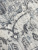 2406593-2
